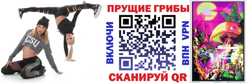 Купить  Звенигово  Псилоцибиновые грибы GOLDEN TEACHER 